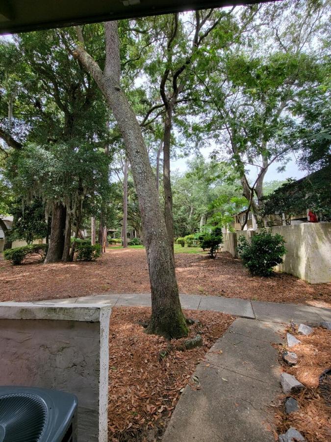 Hhi Homes- Newly Renovated Cozy Modern Pet-Friendly Villa-Ideal Location ฮิลตันเฮดไอส์แลนด์ ภายนอก รูปภาพ